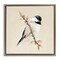 Stupell Industries Muted Watercolor Chickadee Floating Frame, design by Diannart